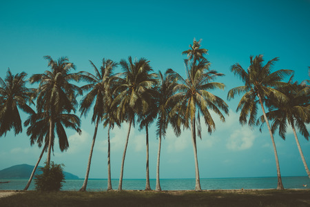 Retro stylized palm trees on summer tropical shoreの写真素材
