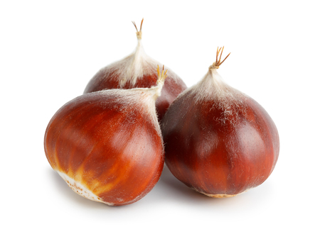 Chestnuts isolated on whiteの写真素材