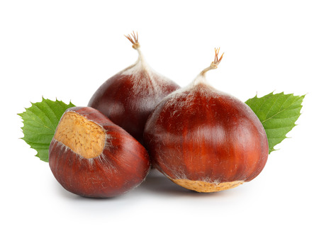 Chestnuts with chestnut leafs isolated on whiteの写真素材