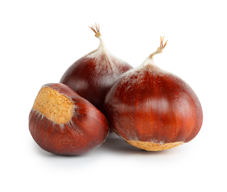 Chestnuts isolated on whiteの写真素材