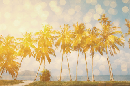 Palm trees on tropical shore with golden party glamour bokeh overlay, double exposure effect stylizedの写真素材