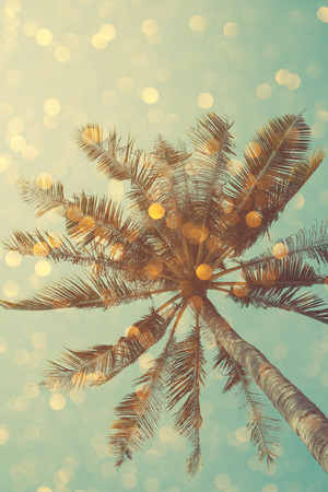 Vintage color stylized palm tree with bright party bokeh light overlay, double exposure effectの写真素材