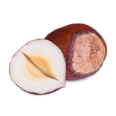Hazelnut isolated on whiteの写真素材