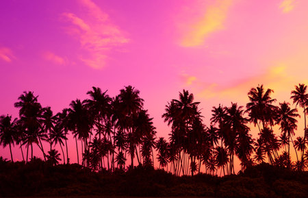 Palm trees silhouettes on tropical beach at twilight