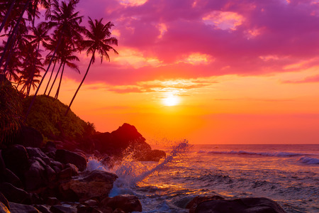 Tropical beach at sunset with palm trees silhouettes and shiny waves splashesの写真素材