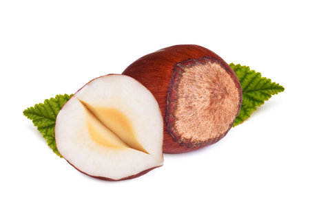 Hazelnuts with green leaf isolated on whiteの写真素材