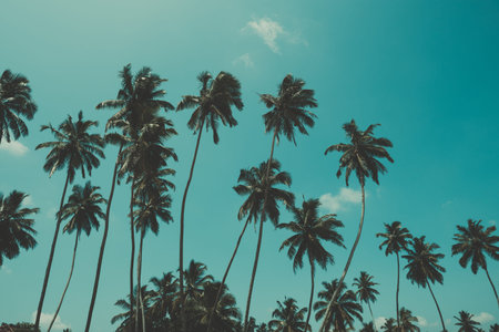 Palm trees on tropical ocean beach, vintage toned and retro color stylized