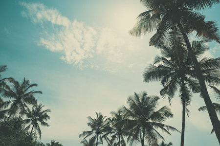 Palm trees on tropical beach, vintage toned and retro color stylized