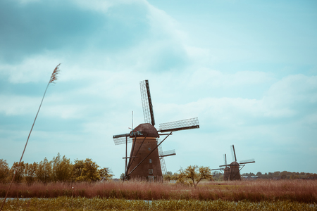 Dutch windmills, vintage color tonedの写真素材