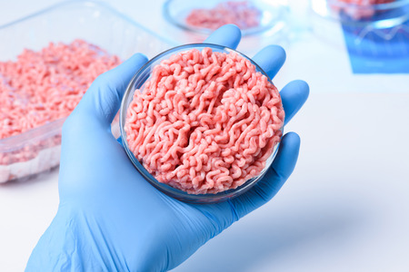 Scientist hand in protective glove hold petri dish with raw ground meat sampleの写真素材