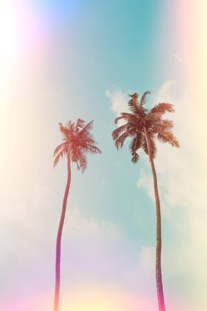 Two tropical coconut palm trees over blue sky background vintage color toned and stylized with film light leaksの写真素材