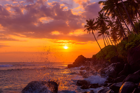 Tropical sunset beach with palm trees and rocks with shiny golden wave splash の写真素材
