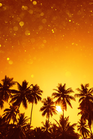 Palm trees silhouettes on tropical beach at summer warm vivid sunset with party glitter bokeh overlay effectの写真素材