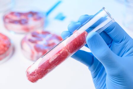 Raw red meat sample in laboratory glass test tube in scientist hands.の写真素材