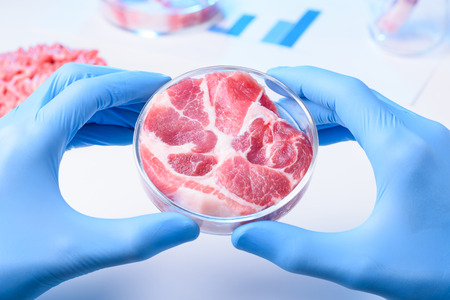 Raw meat sample in laboratory Petri dish. Cultured lab grown meat or meat examination concept.の写真素材
