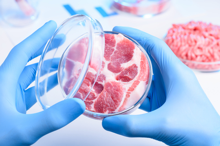 Meat in half open laboratory Petri dishの写真素材