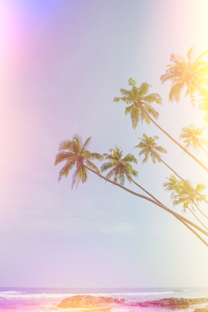 Palm trees over the ocean on beach vintage film color leaks stylizedの写真素材