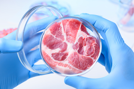 Meat in open laboratory petri dish. Lab meat examination concept.の写真素材