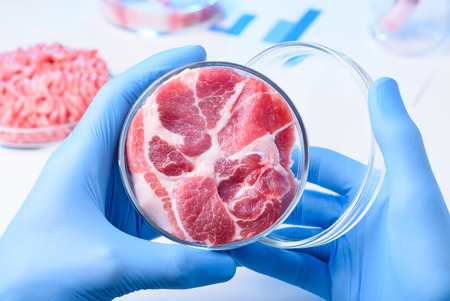 Scientist hold open lab Petri dish with raw meatの写真素材