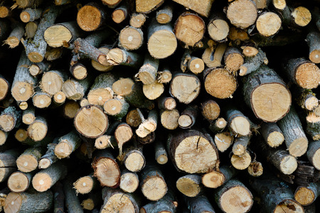 Wood logs firewood whole saw cut tree branches stacked pile drying for winter fireplace texture backgroundの写真素材