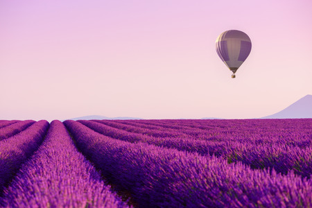 Lavender field rows with hot air balloon in sky near Valensole, Provence, France at summer morningの写真素材