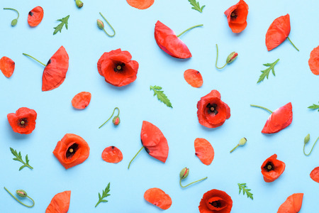 Poppy flowers pattern background top view flat layの写真素材