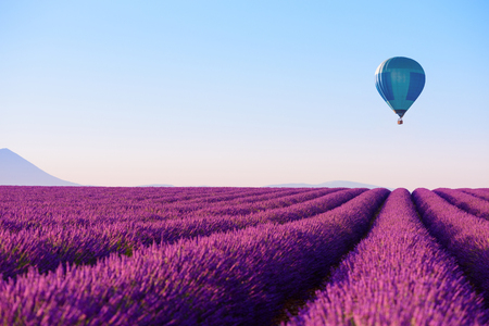 Lavender field and hot air balloonの写真素材
