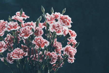 Carnation flowers bouquet retro color toned dark moody background.