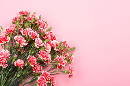 Bouquet of carnation flowers on pastel pink background. Top view with copy-space.の写真素材