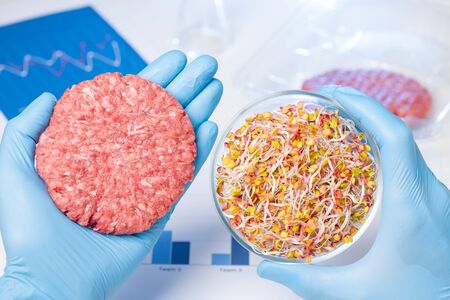 Burger putty in one hand and plant sprouts material in Petri dish. Laboratory vegetarian hamburger meat substitute concept.の写真素材
