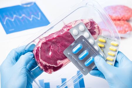 Packaged meat and drugs pills in laboratory scientist hands. Livestock meat antibiotic and hormone use concept.の写真素材