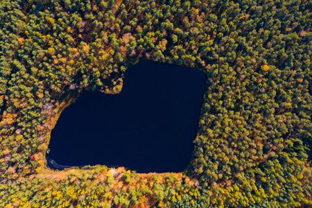 Forest lake in a shape of heart. Romantic love pond hidden place in autumn woods drone aerial top view.の写真素材