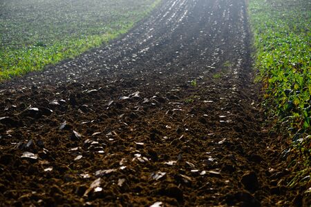 Field arable agricultural land ploughed to grow crops.の写真素材