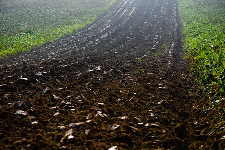 Field arable agricultural land ploughed to grow crops.