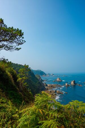 Ocean coast with stones in water pine and fir on the hillsの写真素材