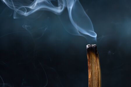 Palo Santo, Bursera graveolens, holy sacred tree stick, burning with beautiful aromatic smokeの写真素材