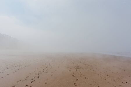 Ocean beach in dense fog with footprints on sandの写真素材