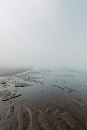 Ocean beach in dense fog during ebbの写真素材