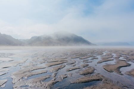 Coast of the ocean in milky fog with water puddles and streams during ebbの写真素材