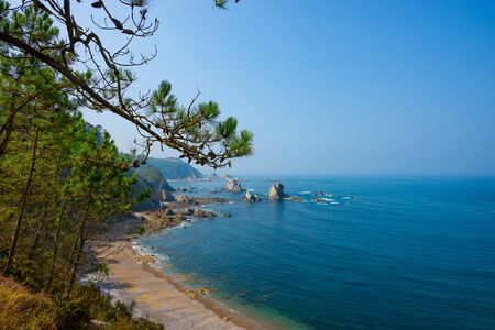 Beautiful beach with pine trees on the hillの写真素材