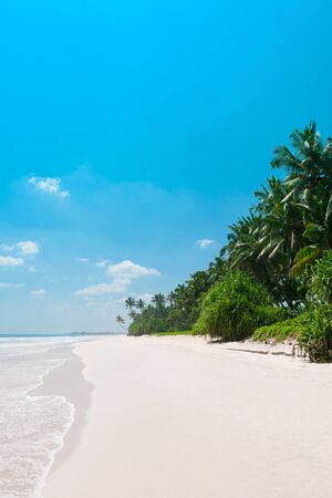 Tropical vacations beach, empty clean white sand and coconut palm treesの写真素材