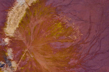 Industrial chemicals dump site from ironlworks, dry red soil with dead plants  rusty pipes and animal paw prints, aerial drone view.の写真素材