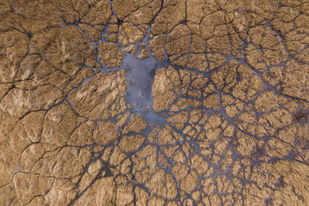 Lake used as industrial chemicals dump site with oil film on water and dead plants and rusty pipes,...