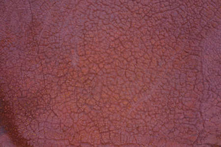 Industrial chemicals dump site from ironlworks, dry red soil with dead plants  rusty pipes and animal paw prints, aerial drone view.の写真素材