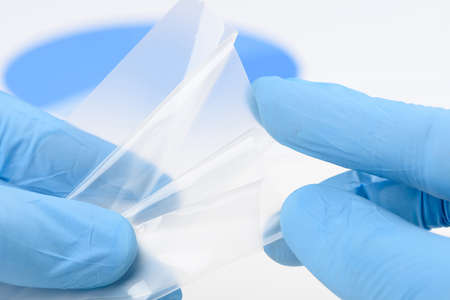 Scientist show and bend flexible transparent plastic like thin film material in laboratory. Concept of research for material with new properties.の写真素材