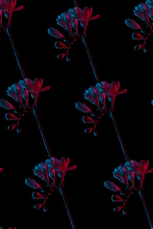 Freesia flowers seamless pattern illustration, pink and blue neon colorsの写真素材