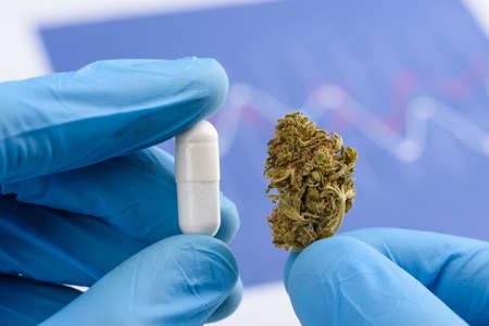 Scientist hold and compare CBD cannabis flower bud and white transparent pill in other handの写真素材