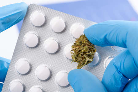 Scientist in gloves hold medical pills blister in one hand and CBD cannabis flower bud in otherの写真素材
