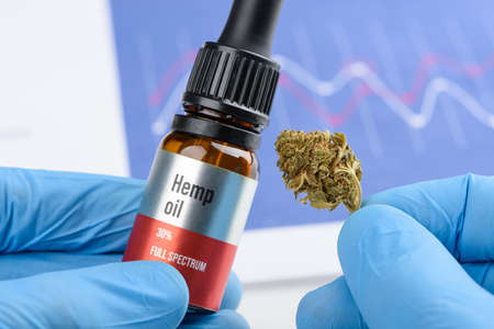 Scientist hold hemp full spectrum oil in one hand and CBD cannabis flower in otherの写真素材