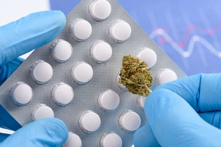 Scientist hold medical pills blister in one hand and CBD cannabis flower bud in otherの写真素材